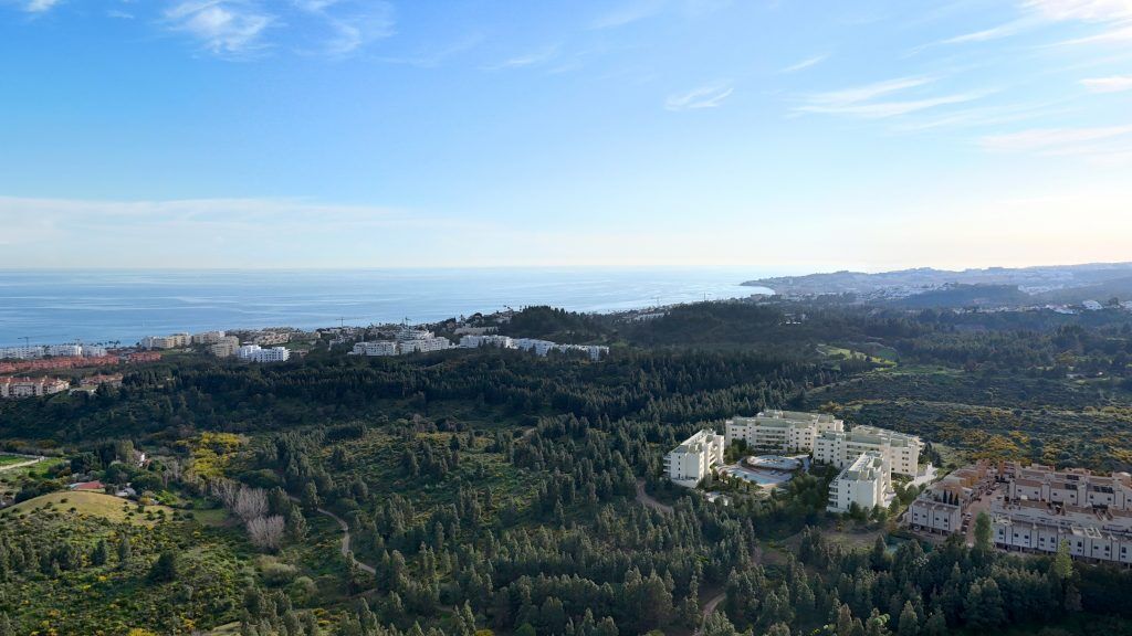 Greenity — photo 1