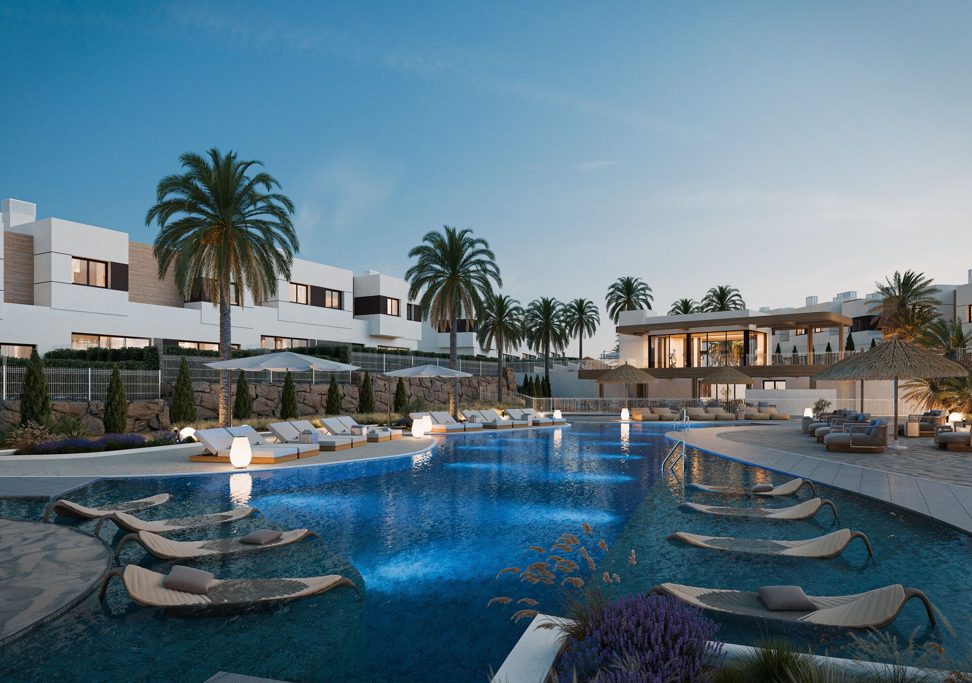 Savia — photo 2